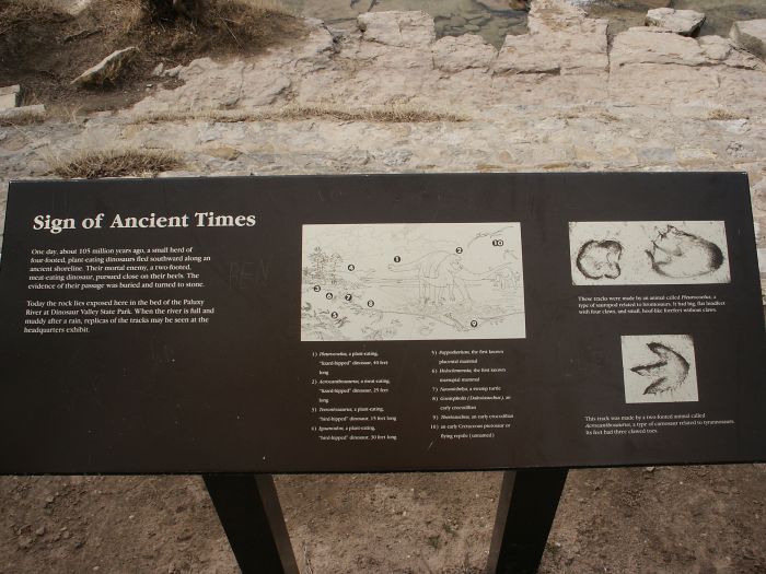 Cretacious Dinosaur Tracks near Glen Rose, Texas.