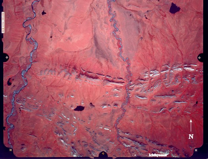 August 1985 high altitude, false color, photograph of Cutaway Creek, Ichthyosaur extraction site.