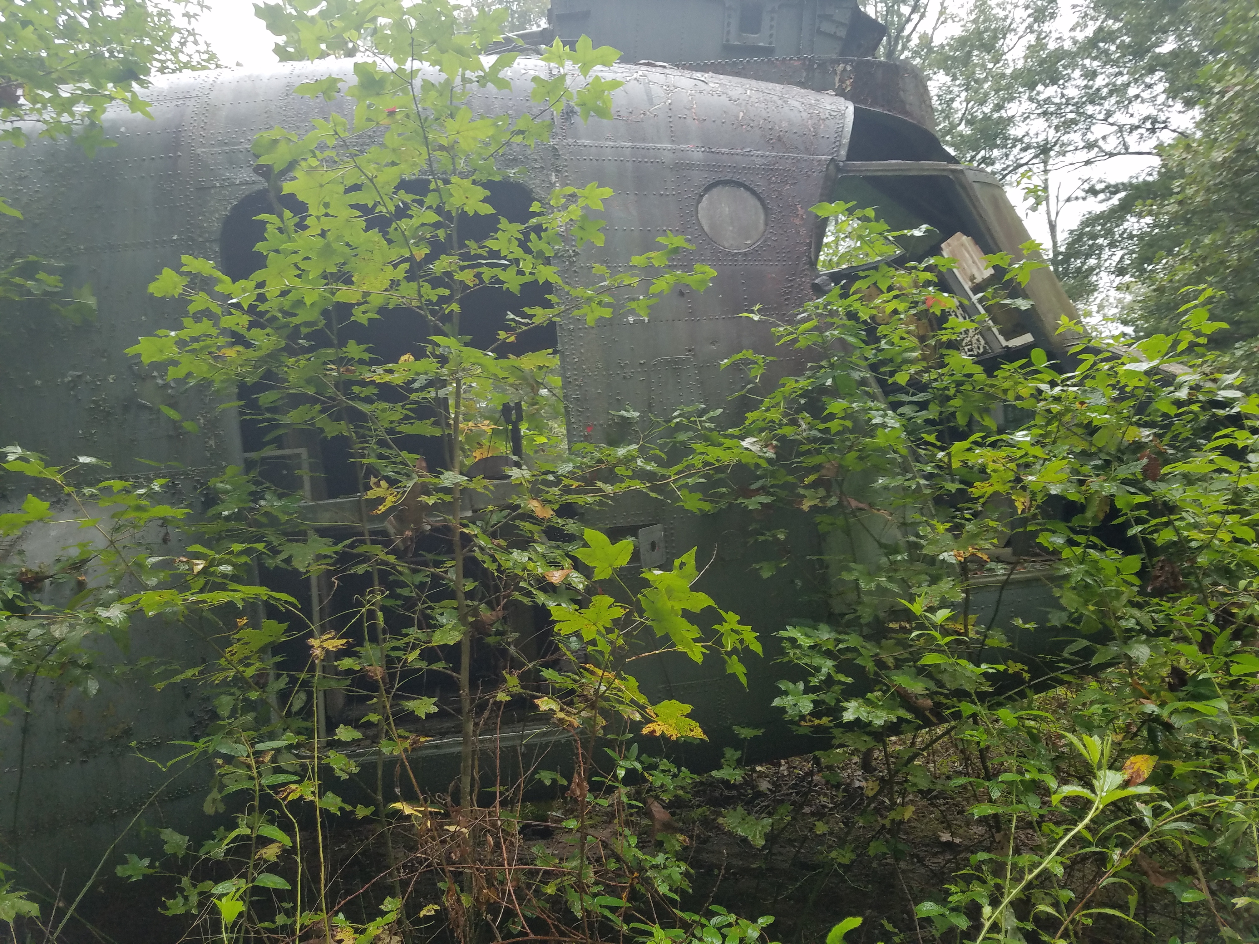 Amazon.com: for ANA NAMC YS-11 First Flight-August 30 1962