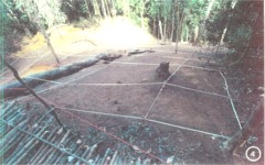 The excavation site of 66-19053 in the RVN.