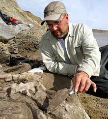 Paleontologist Kevin May is shown with fossilized bones of hadrosaurs, duckbilled, plant-eating dinosaurs.