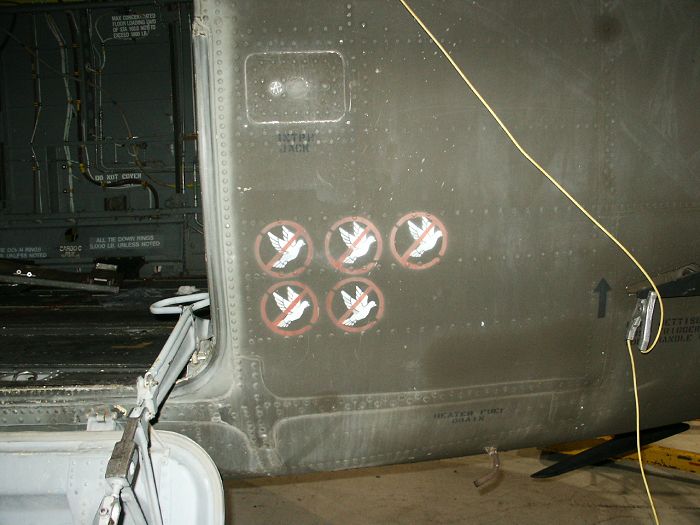 The nose art of 90-00190, indicating it's possible involvement with avian organisms during flight operations.