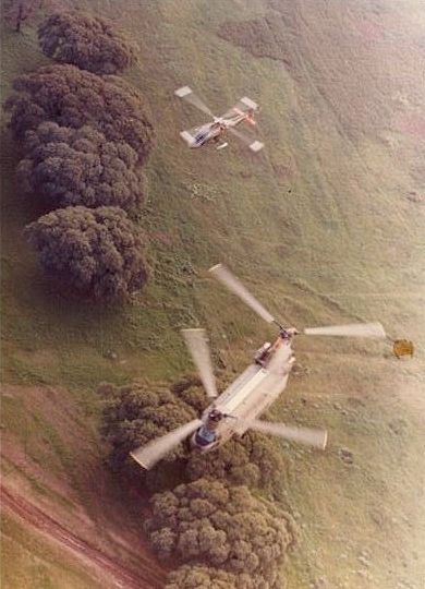 An Argentine Chinook in formation flight with an A-109 Augusta Irundo, near Campo de Mayo, tail number and date unknown.