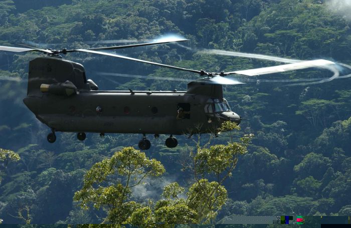 Australian CH-47D Chinook A15-202.