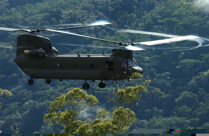 Australian CH-47D Chinook A15-202.