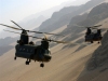 The Austrailian Army CH-47D Chinook flying in support of the Global War on Terrorism.