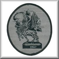 A patch from 2nd Battalion - "Darkhorse", 160th Aviation Regiment, home stationed at Fort Campbell, Kentucky, date unknown.